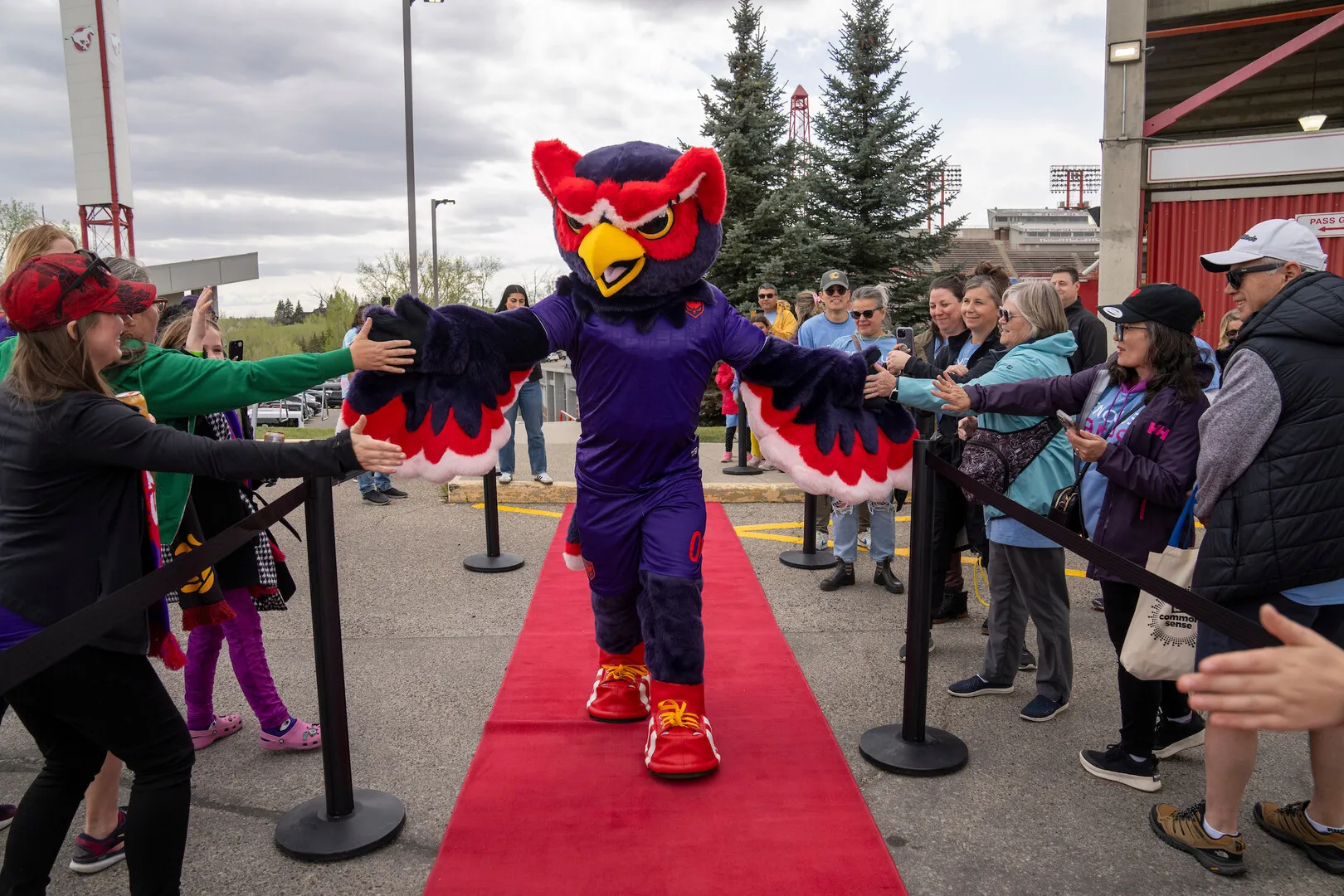 Echo, the Calgary Wild FC mascot, on the red carpet