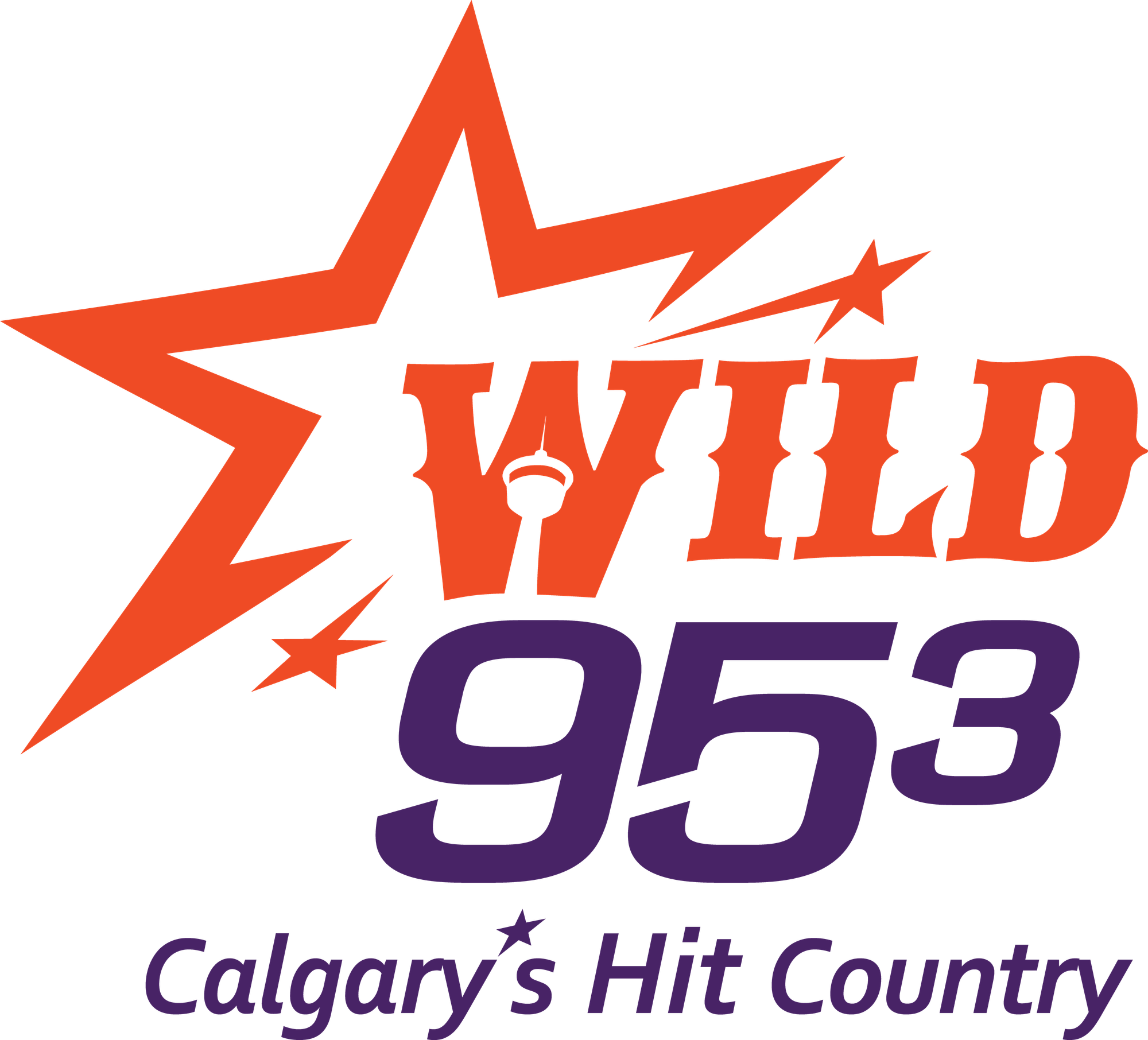 Wild 95.3 FM